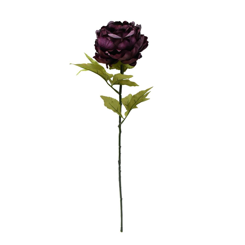 10627844_1.jpg img